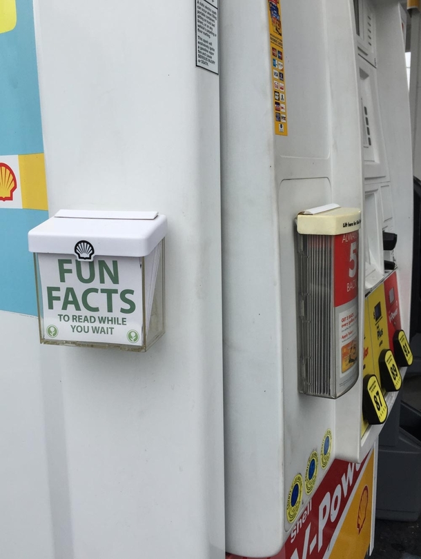 Pic #1 - This promotional box at a gas station I go to is always empty So I filled it with fun facts for people to read while they wait for their gas to pump