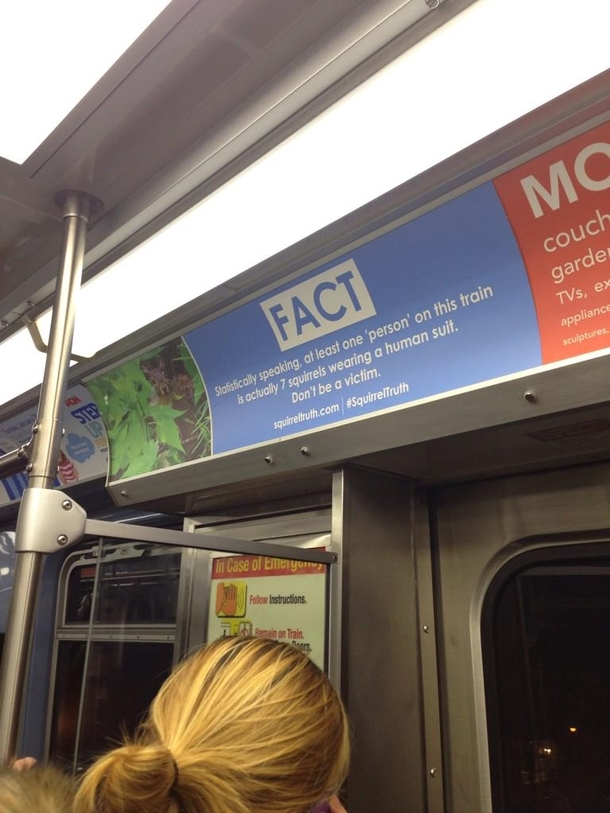 Pic #1 - TIL Squirrel facts on the subway