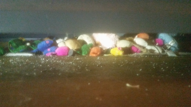 Pic #1 - We discovered our cats secret toy stash Final count 