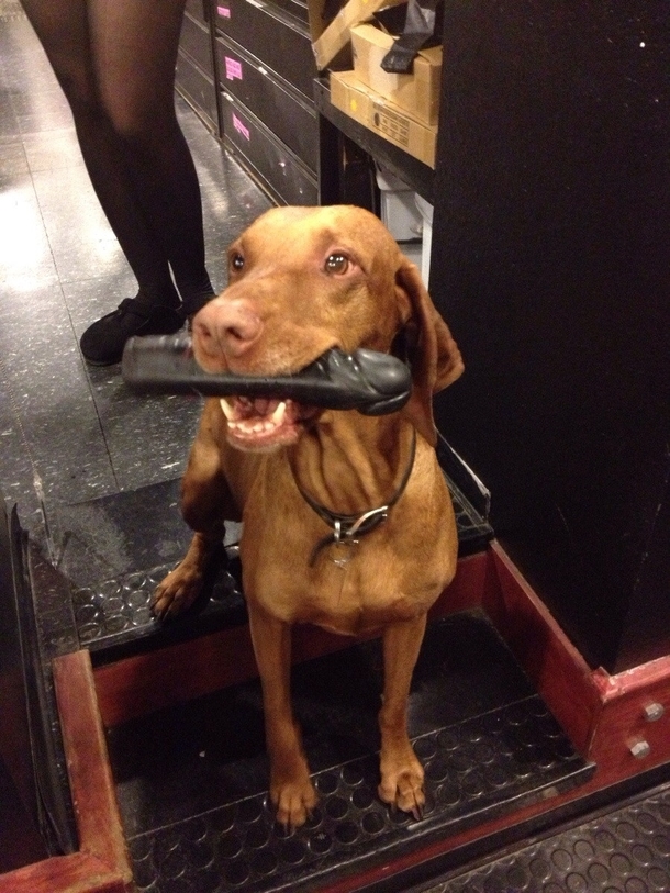 Pic #1 - Went into a sex shop and was greeted by this guy