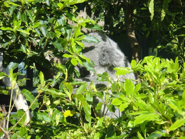Pic #1 - Went to the fing zoo