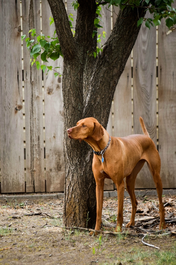 Pic #1 - Without a stickwith a stick