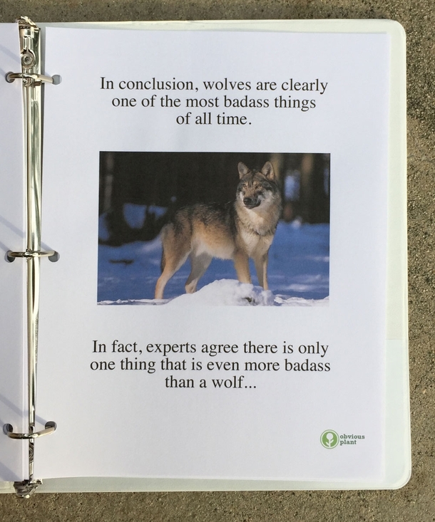 Pic #10 - I left this free biology report about wolves outside a Los Angeles high school