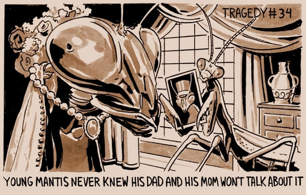 Pic #11 - Tragedies