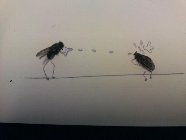 Pic #14 - Sometimes i get bored at work Have some dead flies 