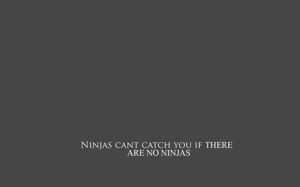Pic #19 - Ninjas cant get you