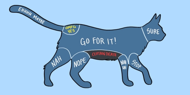 Pic #2 - Charts That Perfectly Illustrate How To Properly Pet Animals