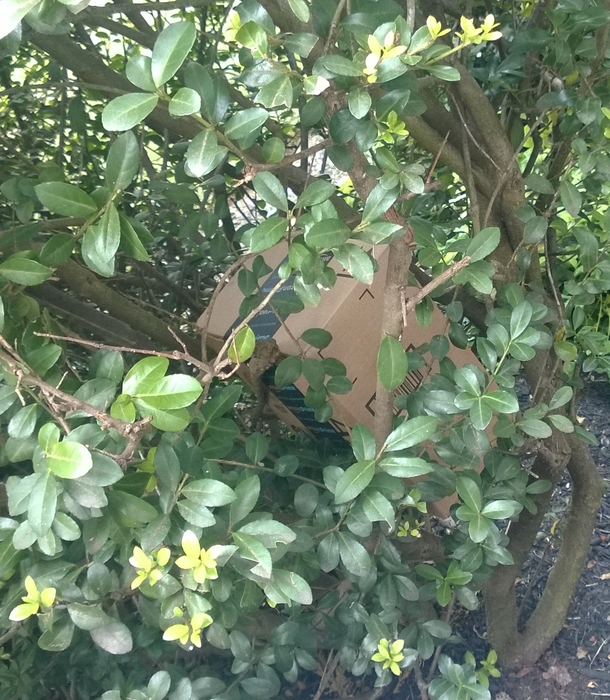 Pic #2 - I dont live in a great a neighborhood Thanks USPS
