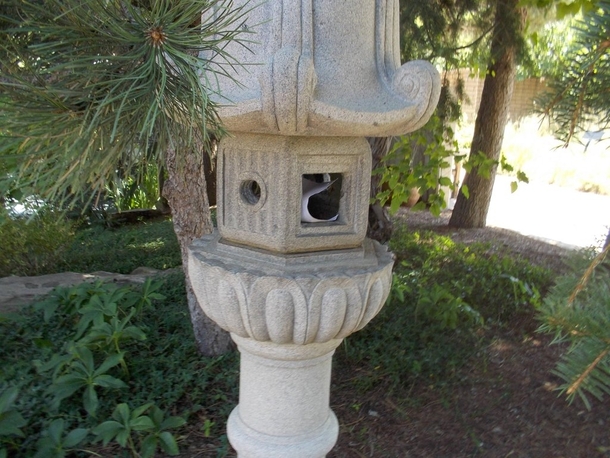 Pic #2 - I was in Denver last week at the Botanical Gardens when I saw something out of the ordinary