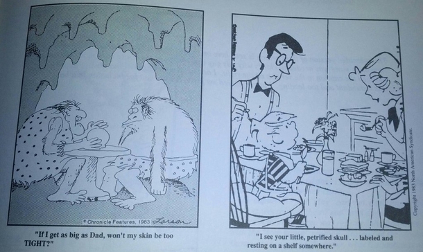 Pic #2 - In the s a newspaper mixed up the captions for Dennis the Menace and The Far Side twice The results were hilarious