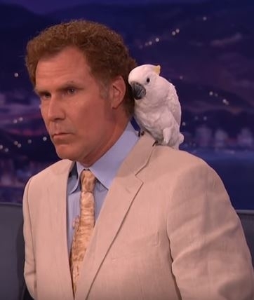 Pic #2 - Ive come to the conclusion that Will Ferrell does all the drugs before an interview