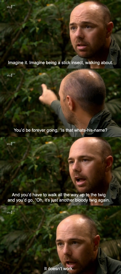 Pic #2 - Karl Pilkington everybody