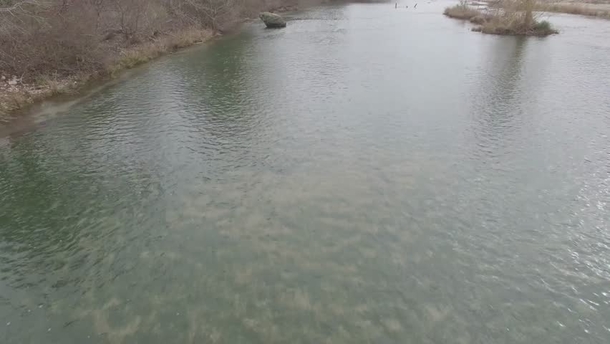 Pic #2 - My dad and I built a dam
