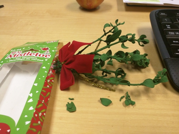 Pic #2 - Needed some mistletoe for a work photoshoot only place I could find any in town was WalMart yay