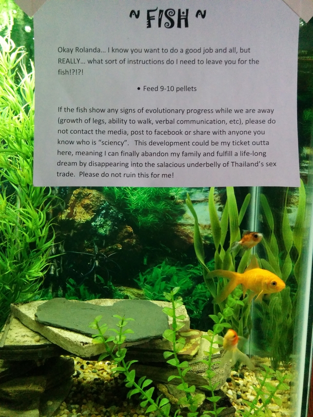 Pic #2 - Notes for the house sitter