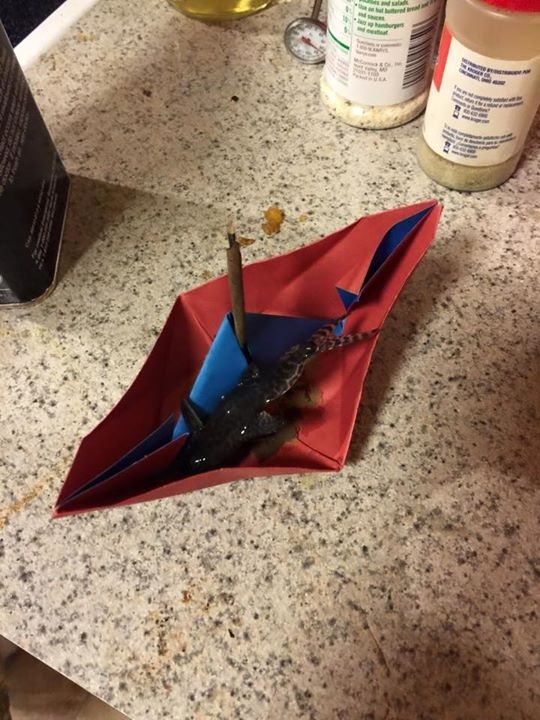 Pic #2 - One of our fish died so we sent it off with a Viking funeral