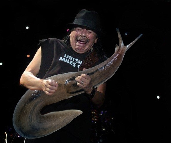 Pic #2 - Rockstars soloing with giant slugs explains the faces
