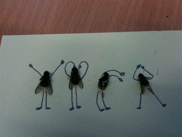 Pic #2 - Sometimes i get bored at work Have some dead flies 