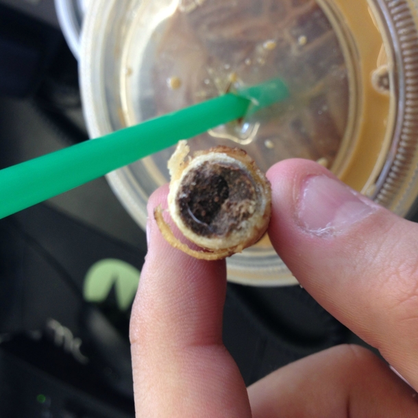 Pic #2 - Starbucks Cookie Straw Great cookie terrible straw