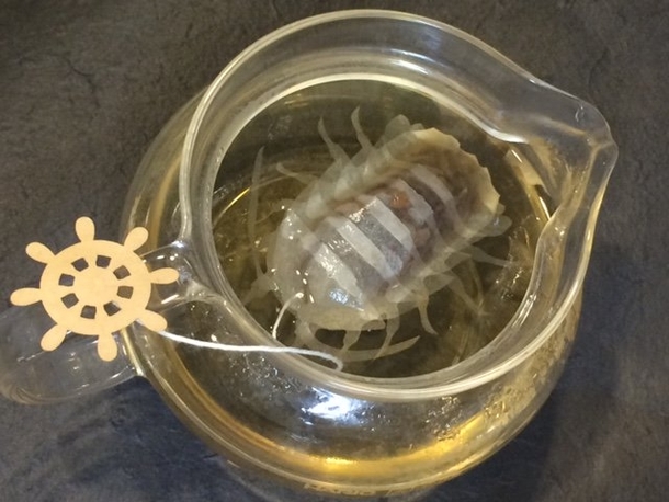 Pic #2 - This teabag