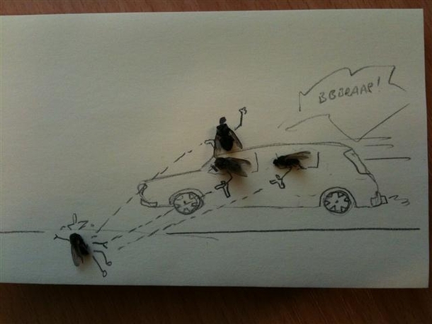 Pic #20 - Sometimes i get bored at work Have some dead flies 