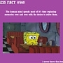 Pic #21 - Useless Facts