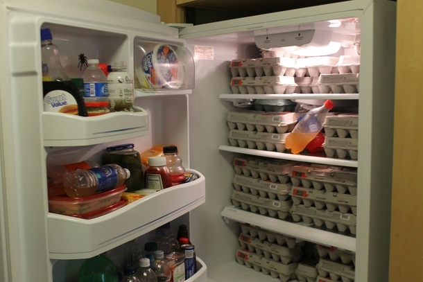 Pic #23 - So my roommate and I just got  eggs for free