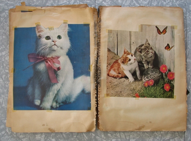 Pic #3 - I found a copy of the internet from the s at a garage sale