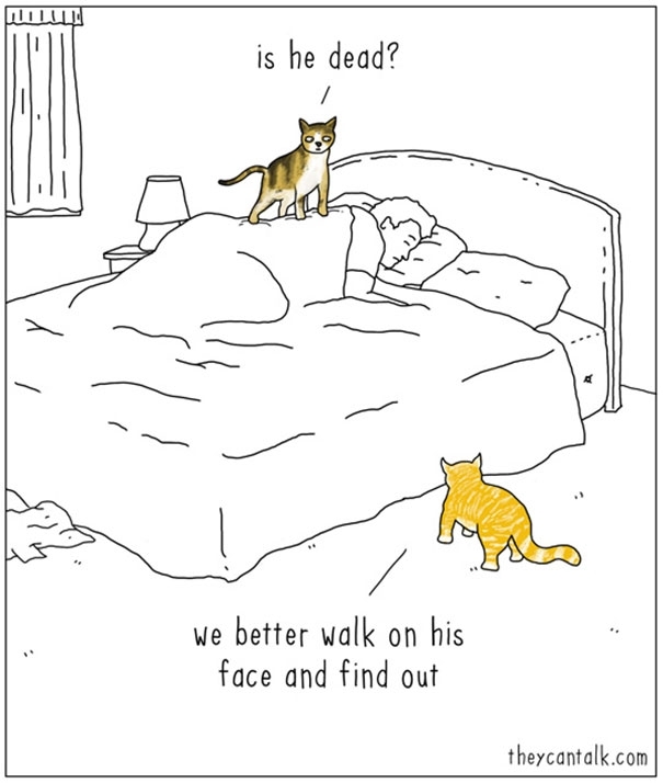Pic #3 - If animals could talk