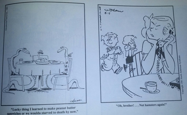 Pic #3 - In the s a newspaper mixed up the captions for Dennis the Menace and The Far Side twice The results were hilarious