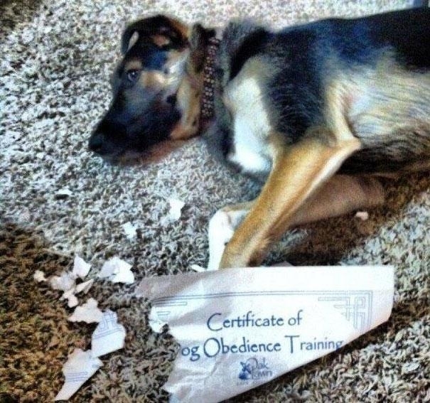 Pic #3 -  Of The Most Ironic Moments Ever