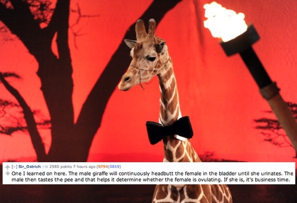 Pic #3 - Science facts from Reddit