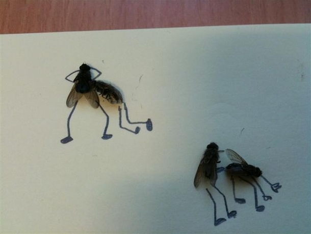 Pic #3 - Sometimes i get bored at work Have some dead flies 
