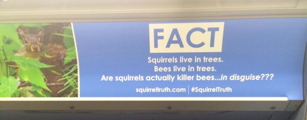 Pic #3 - TIL Squirrel facts on the subway