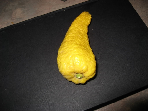 Pic #3 - You call that the worst lemon ever I present you scumbag lemon with clit tickler companion