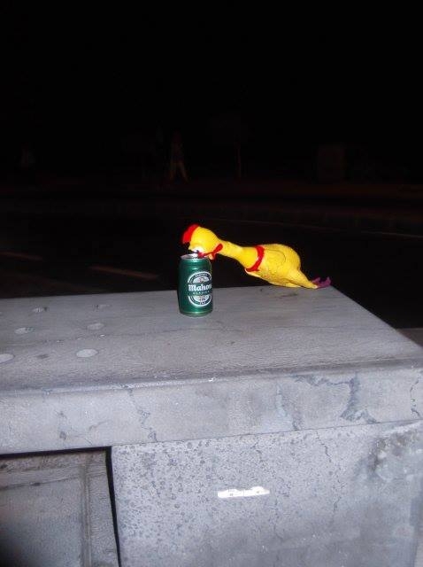 Pic #33 - My friends went on holiday without me This was my replacement 
