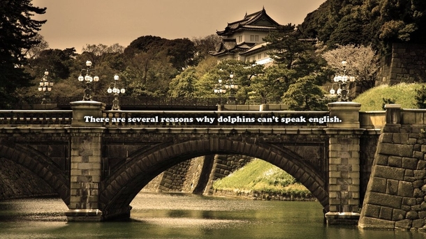 Pic #35 - Fuckscapes Pretty Wallpapers with funny text