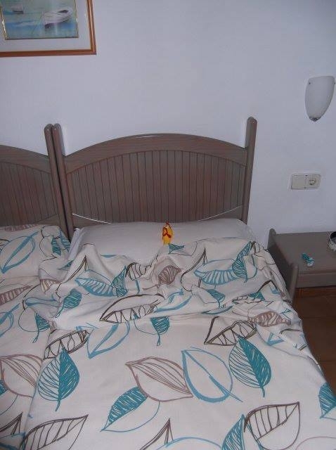 Pic #38 - My friends went on holiday without me This was my replacement 