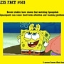 Pic #38 - Useless Facts