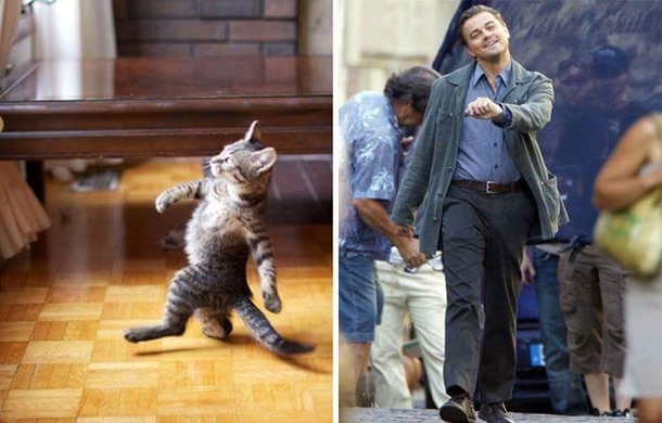 Pic #4 - Animals That Are Celebrity Look-alikes