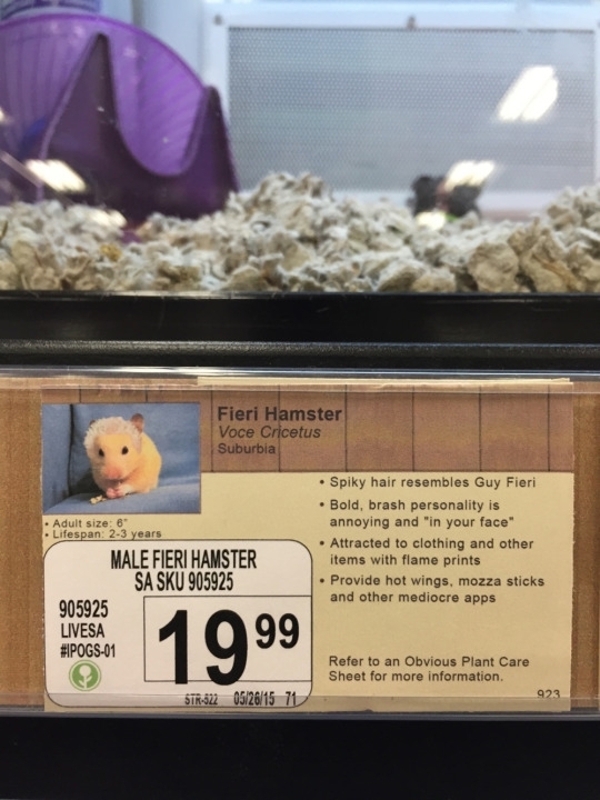 Pic #4 - I added some new pet options to a local pet store