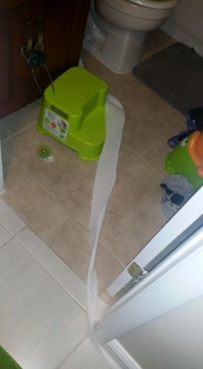 Pic #4 - I asked my two year old to bring me the toilet paper from the other bathroom