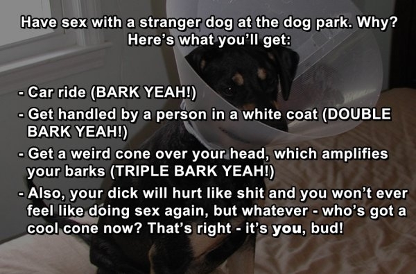Pic #4 - Life Hacks for Dogs Bark Yeah
