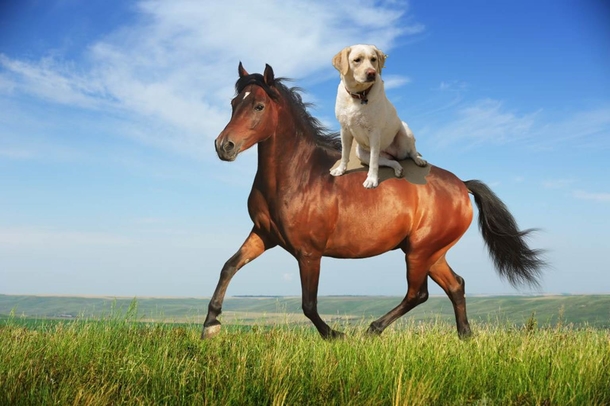 Pic #4 - My Dad discovered photoshop today