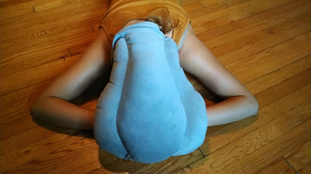 Pic #4 - My girlfriend asked for a travel pillow that didnt make her look silly--heres the family trying it on