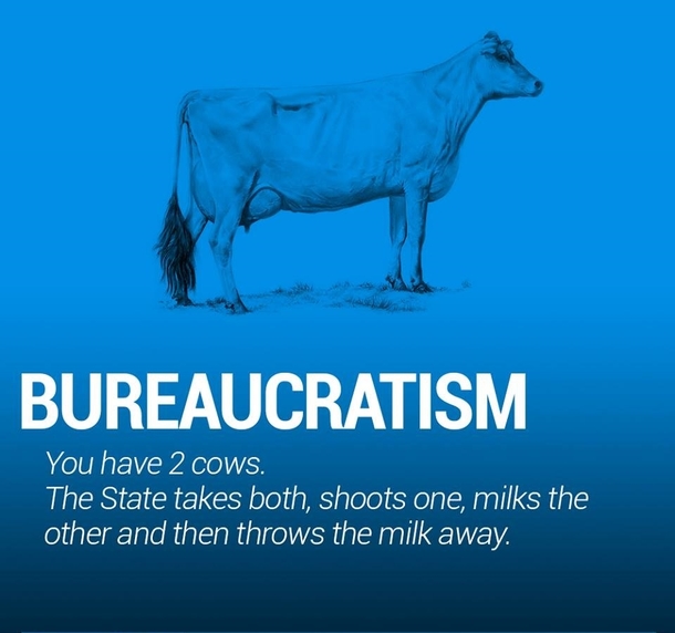 Pic #4 - The world economy explained with just two cows