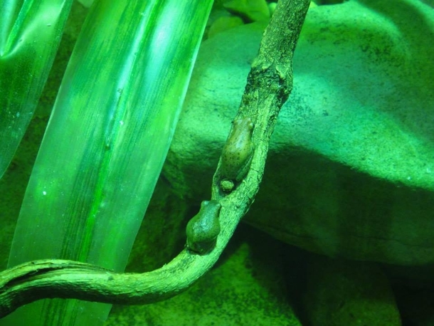 Pic #4 - Went to the fing zoo