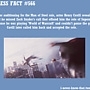 Pic #48 - Useless Facts