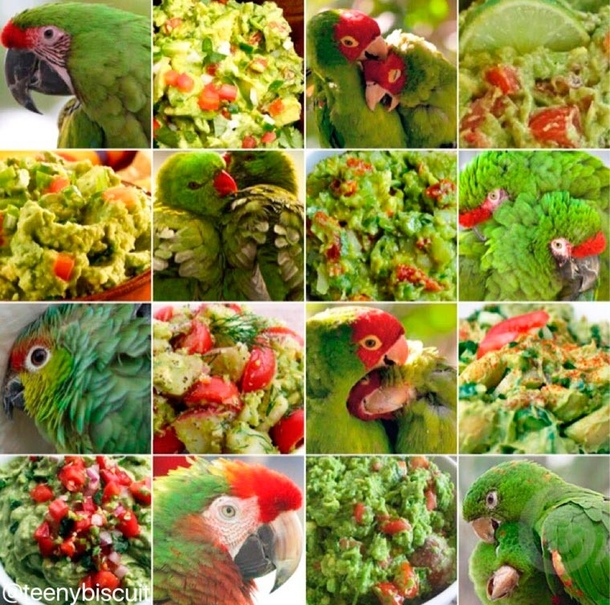 Pic #5 - Edible or pettable