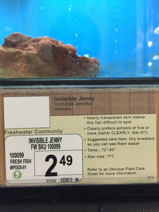 Pic #5 - I added some new pet options to a local pet store